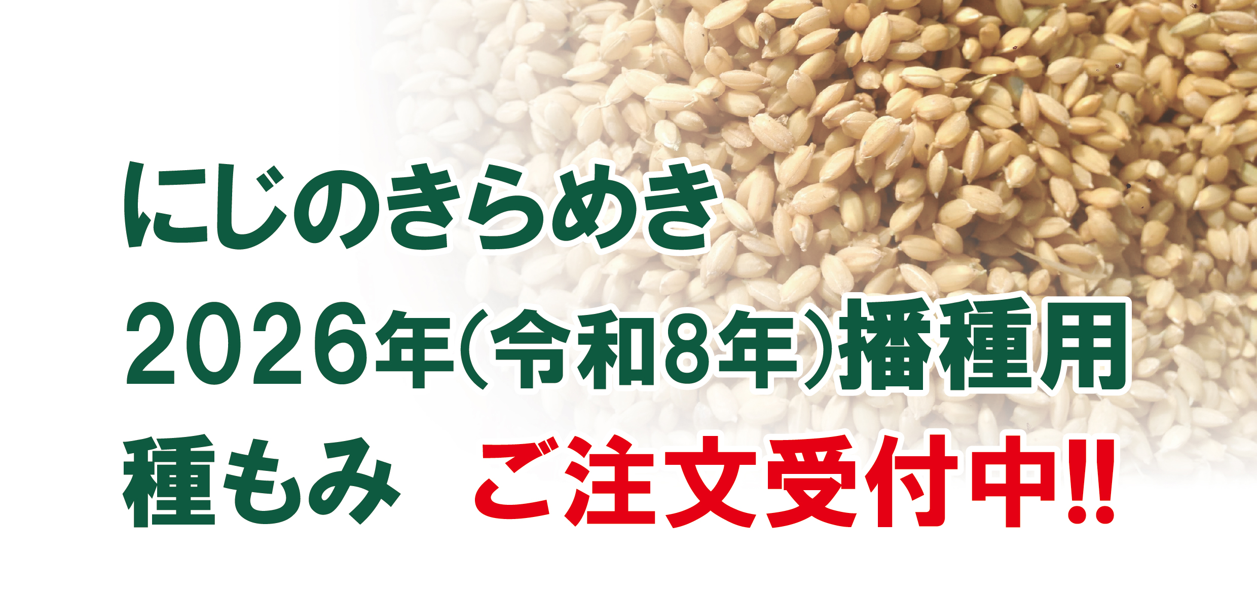 にじのきらめき